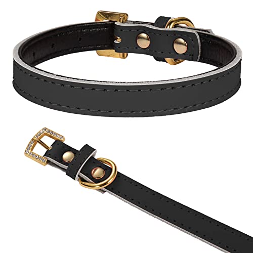 LOVPE Goldene Strass-Schnalle mit bequemem, gepolstertem Lederhalsband für Hunde und Katzen, für kleine und mittelgroße Hunde (S, schwarz) von LOVPE