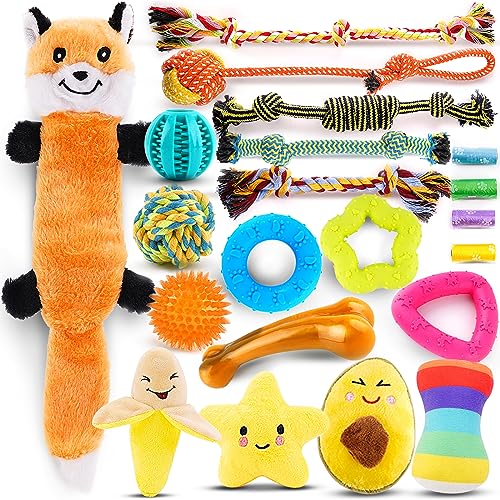 LOYEE Welpenspielzeug, 21 Stück, Kauspielzeug für kleine Hunde mit Seilspielzeug zum Zahnen, niedliches Quietschspielzeug mit Behandlungsball für Welpen, kleine Hunde von LOYEE