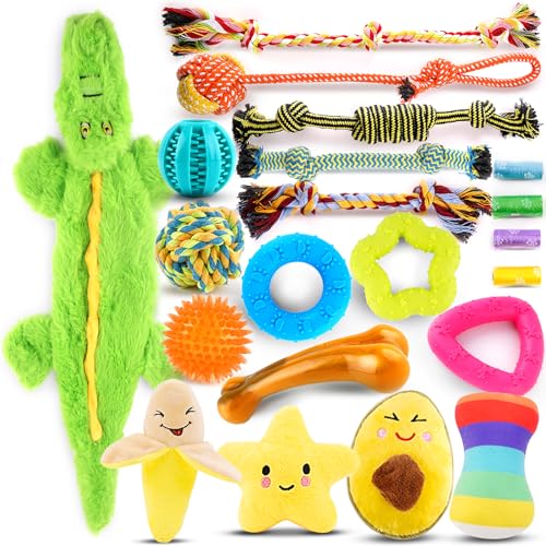LOYEE Welpenspielzeug, Kauspielzeug für kleine Hunde, mit Seil, Spielzeug zum Zahnen, niedliches Quietschspielzeug mit Leckerli-Ball für Welpen, kleine Hunde, 21 Stück von LOYEE