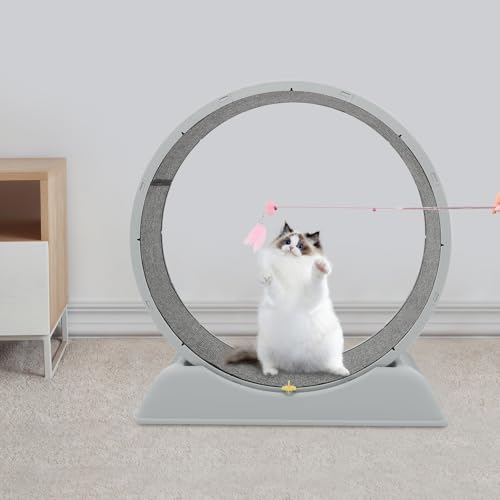 LOYEMAADE Katzenlaufrad Leise Katzen Laufrad für Wohnungskatzen,80cm Großes Cat Running Wheel mit Verriegelungsmechanismus,Cat Teaser LOYEMAADE Katzenlaufrad Leise Katzen Laufrad für Wohnungskatzen,80cm Großes Cat Running Wheel mit Verriegelungsmechanismus,Cat Teaser von LOYEMAADE