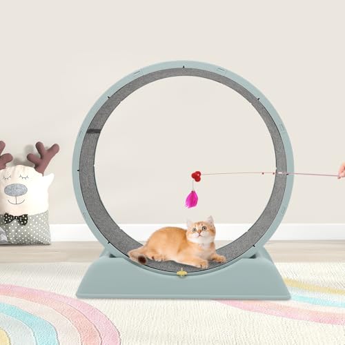 LOYEMAADE Laufrad Katze groß 80cm Katzenlaufrad mit Cat Teasing Stick,Cat Wheel mit Verriegelungsmechanismus,Laufrad Katzen für Gesunde Bewegung,Trainieren oder zu Spielen LOYEMAADE Laufrad Katze groß 80cm Katzenlaufrad mit Cat Teasing Stick,Cat Wheel mit Verriegelungsmechanismus,Laufrad Katzen für Gesunde Bewegung,Trainieren oder zu Spielen von LOYEMAADE