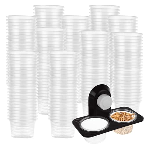 LOYORTY 501-teiliges Gecko-Fütterbecher-Set, 500 Stück, 28 ml, Kunststoff, Gecko-Futterstation für kleine Reptilien, Futter und Wasserfütterung von LOYORTY