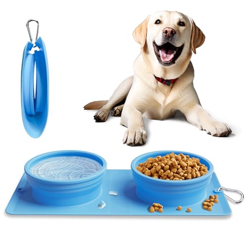 Zusammenklappbarer tragbarer 2-in-1-Hundenapf, integrierter Reise-Hund/Katzenfutter-Wassernapf, Silikon, faltbar, erweiterbar, mit Karabiner, Anti-Verschütten und rutschfest, für Camping/Reisen, von LPFLASAT
