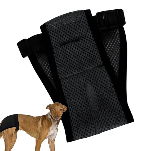 Hunde-Periodenhöschen, wiederverwendbare Hundewindeln für Damen - Welpenwindeln - Hohe Saugfähigkeit, weich, bequem, waschbar, wiederverwendbar, auslaufsicher, wiederverwendbare Hundewindeln, weiblich Hunde-Periodenhöschen, wiederverwendbare Hundewindeln für Damen - Welpenwindeln - Hohe Saugfähigkeit, weich, bequem, waschbar, wiederverwendbar, auslaufsicher, wiederverwendbare Hundewindeln, weiblich von LPORF