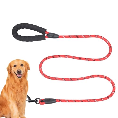 Hundeleine für Welpen, Trainingsleine für Hunde – gepolsterter Griff, sicher und bequem, reflektierendes Zugseil, Dressurleine für Hunde für eine effektive Führung Hundeleine für Welpen, Trainingsleine für Hunde – gepolsterter Griff, sicher und bequem, reflektierendes Zugseil, Dressurleine für Hunde für eine effektive Führung von LPORF