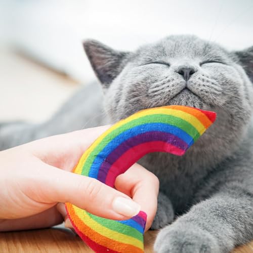 Regenbogen-Katzenspielzeug - Katzenminze-Spielzeug für Katzen, Plüsch-Regenbogenkissen, Buntes Regenbogen-Katzenminze-Spielzeug mit Katzenminze, Kätzchen-Beiß- und Kauspielzeug, Innen- und Außenkissen Regenbogen-Katzenspielzeug - Katzenminze-Spielzeug für Katzen, Plüsch-Regenbogenkissen, Buntes Regenbogen-Katzenminze-Spielzeug mit Katzenminze, Kätzchen-Beiß- und Kauspielzeug, Innen- und Außenkissen von LPORF