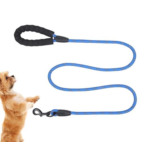 Trainingsleine für Hunde, Zugleine für Hunde, sichere Hundeleine mit bequemem gepolstertem Griff | Zugseil für Sicherheit, lange Spaziergänge und Aktivitäten Trainingsleine für Hunde, Zugleine für Hunde, sichere Hundeleine mit bequemem gepolstertem Griff | Zugseil für Sicherheit, lange Spaziergänge und Aktivitäten von LPORF