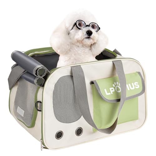 LPOTIUS Transporttasche für Katze Hund, Hundetransportbox Faltbare bis 8KG, Katzentransportbox Tragbar, Katzentasche Hunde-Tragetasche für mittelgroße Hunde Katze Haustier (Grün) von LPOTIUS