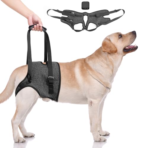 LPZMPZ Tragehilfe Hund, Tragegurt Hund für Hinterbeine, Tragegeschirr Hundeschlinge mit Handgriff, Hebegeschirr für Hunde, Hundehebegeschirr für Behinderte, Verletzte Oder ältere Hunde(Schwarz) von LPZMPZ