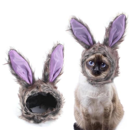 Hasenohren kostüm, Kostüm für Katzen, Katzen Kleidung (Lila) von LQIOACU