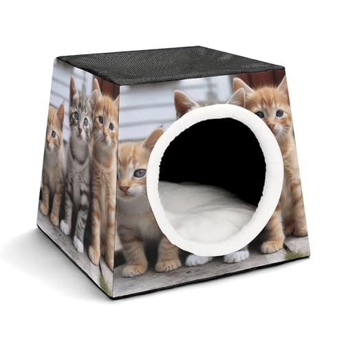 LQPMNK Tragbares Haustiernest für kleine Haustiere, Kätzchen Familie Katzen Druck Kapsel Design Weltraumkapsel Haustiernest Langlebiges Haustiernest Haustierbett für Zuhause und Reisen LQPMNK Tragbares Haustiernest für kleine Haustiere, Kätzchen Familie Katzen Druck Kapsel Design Weltraumkapsel Haustiernest Langlebiges Haustiernest Haustierbett für Zuhause und Reisen von LQPMNK
