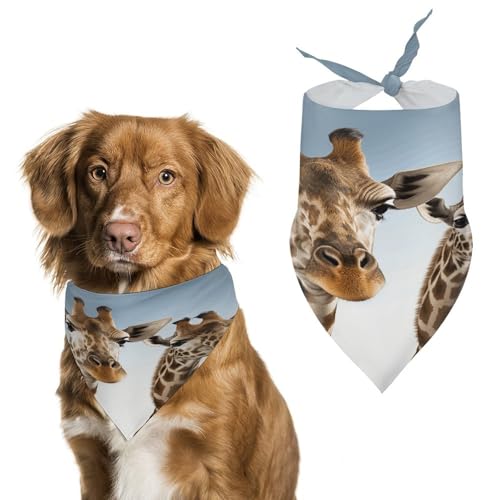 Strapazierfähiges Haustier-Halstuch, Dreieckstuch für Hunde und Katzen, weich, stilvoll und leicht zu waschen, ideal für Spaziergänge, Fotos und mehr Strapazierfähiges Haustier-Halstuch, Dreieckstuch für Hunde und Katzen, weich, stilvoll und leicht zu waschen, ideal für Spaziergänge, Fotos und mehr von LQPMNK
