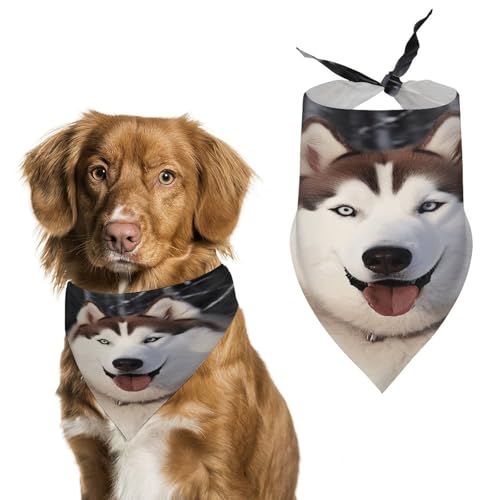Strapazierfähiges Haustier-Halstuch, Huskies-Druck, Dreieckstuch für Hunde und Katzen, weich, stilvoll und leicht zu waschen, ideal für Spaziergänge, Fotos und mehr Strapazierfähiges Haustier-Halstuch, Huskies-Druck, Dreieckstuch für Hunde und Katzen, weich, stilvoll und leicht zu waschen, ideal für Spaziergänge, Fotos und mehr von LQPMNK