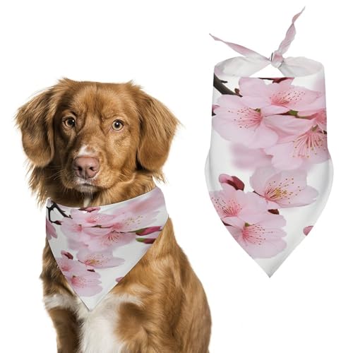 Strapazierfähiges Haustier-Halstuch, Kirschblüten-Druck, Dreieckstuch für Hunde und Katzen, weich, stilvoll und leicht zu waschen, ideal für Spaziergänge, Fotos und mehr Strapazierfähiges Haustier-Halstuch, Kirschblüten-Druck, Dreieckstuch für Hunde und Katzen, weich, stilvoll und leicht zu waschen, ideal für Spaziergänge, Fotos und mehr von LQPMNK