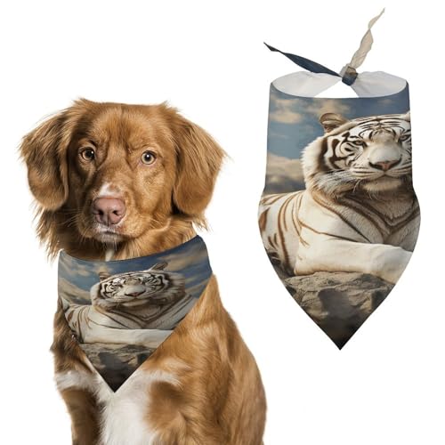Strapazierfähiges Haustier-Halstuch, Majestätischer Tiger, der auf einem Felsen ruht, mit Wolkendruck, Dreieckstuch für Hunde und Katzen, weich, stilvoll und leicht zu waschen, ideal für Spaziergänge, Strapazierfähiges Haustier-Halstuch, Majestätischer Tiger, der auf einem Felsen ruht, mit Wolkendruck, Dreieckstuch für Hunde und Katzen, weich, stilvoll und leicht zu waschen, ideal für Spaziergänge, von LQPMNK