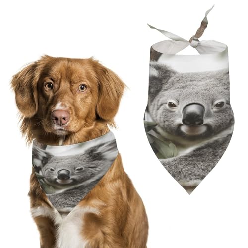 Strapazierfähiges Haustierhalstuch, Dreieckstuch mit Koala-Druck, für Hunde und Katzen, weich, stilvoll und leicht zu waschen, ideal für Spaziergänge, Fotos und mehr Strapazierfähiges Haustierhalstuch, Dreieckstuch mit Koala-Druck, für Hunde und Katzen, weich, stilvoll und leicht zu waschen, ideal für Spaziergänge, Fotos und mehr von LQPMNK