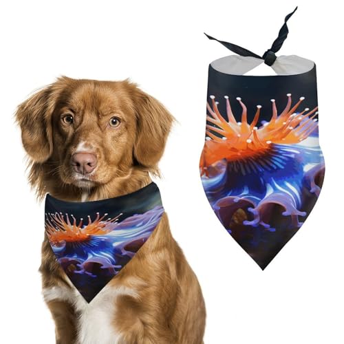 Strapazierfähiges Haustierhalstuch, Dreieckstuch mit Nudibranch-Druck, für Hunde und Katzen, weich, stilvoll und leicht zu waschen, ideal für Spaziergänge, Fotos und mehr Strapazierfähiges Haustierhalstuch, Dreieckstuch mit Nudibranch-Druck, für Hunde und Katzen, weich, stilvoll und leicht zu waschen, ideal für Spaziergänge, Fotos und mehr von LQPMNK