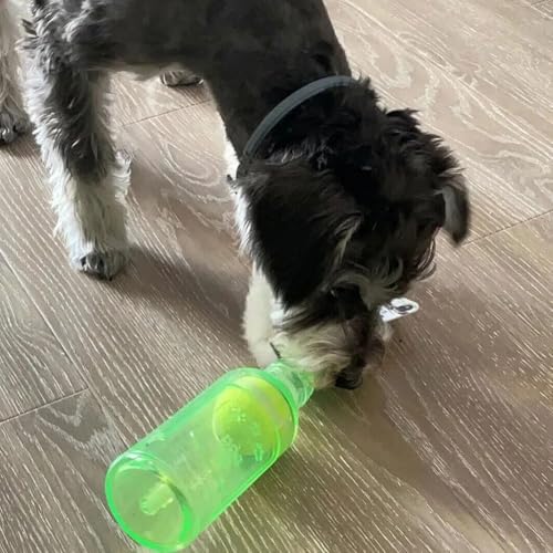 LQQDREX Crunch Play Flaschenspielzeug für Hunde - Interaktives Kauspielzeug, Wasserflasche Cruncher, Kunststoff Hundespielzeug von LQQDREX