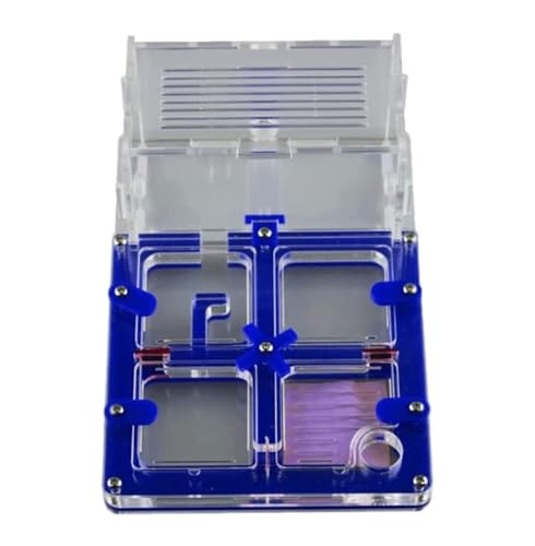 Ameisennest, Acryl Ant Castle Farm Habitat 17,7 cm Multicolor Transparent Beobachtung Wissenschaft Nest(Blue) von LQRCTRY