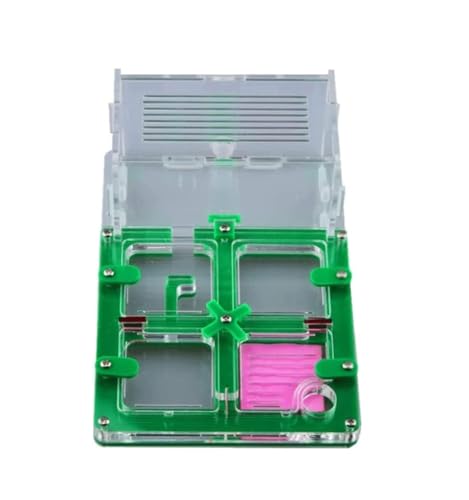 Ameisennest, Ameisenfarm-Schloss aus Acryl, 17 cm, mehrfarbige Displaybox(Grün) von LQRCTRY