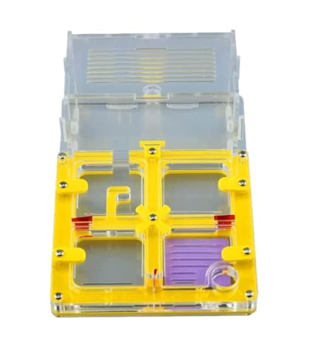 Ameisennest, Ameisenfarm-Schloss aus Acryl, 17 cm, mehrfarbige Displaybox(Yellow) von LQRCTRY