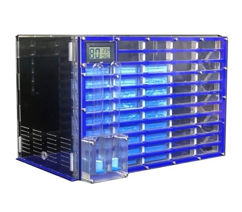 Ameisennest, Ameisenfarm aus Acryl, 30 cm, mehrfarbiges Ameisennest, transparentes Design, 2 Wassertürme/2 Erweiterungsanschlüsse(Blue) von LQRCTRY