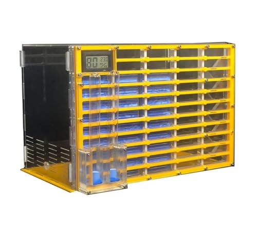 Ameisennest, Ameisenfarm aus Acryl, 30 cm, mehrfarbiges Ameisennest, transparentes Design, 2 Wassertürme/2 Erweiterungsanschlüsse(Yellow) von LQRCTRY
