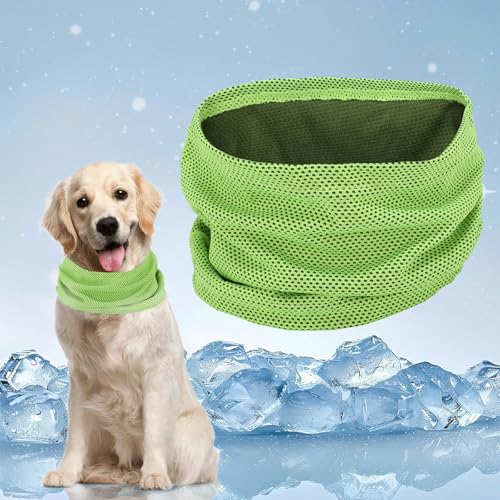 Kühlhalsband für Hunde, Kühlendes Halstuch Hund, Atmungsaktiv Hund Halstücher Kühlend Wärmeableitung Bandana Hunde Cool Komfortabel Kühlhalsband für Sommer (Grün-M) von LQTSLFM