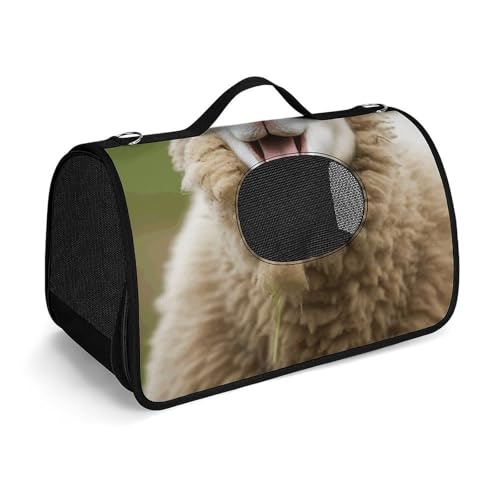 Haustier-Handtaschen, lustige Schaf-bedruckte Haustier-Handtaschen, faltbare Haustier-Handtaschen, universelle Haustier-Handtaschen Haustier-Handtaschen, lustige Schaf-bedruckte Haustier-Handtaschen, faltbare Haustier-Handtaschen, universelle Haustier-Handtaschen von LQWOK
