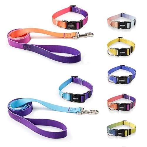 Verstellbares Hundehalsband aus Nylon, Leine, Haustier-Katzenhalsband, geeignet for kleine und große Hunde, Bulldoggen, Möpse, Beagle(Yellow Blue Collar,XS 2KG-5KG) von LRTVAOP