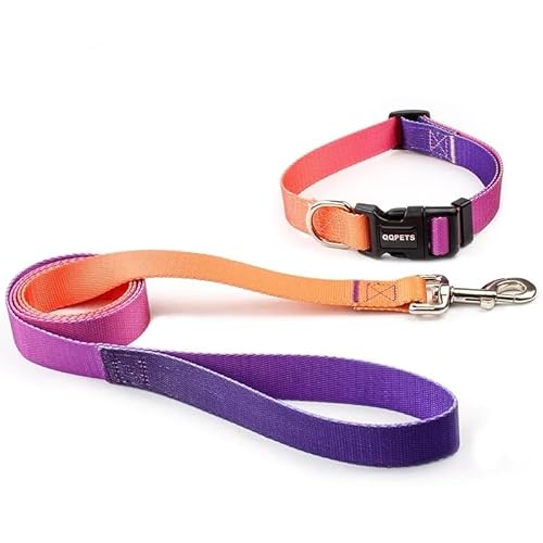 Verstellbares Hundehalsband aus Nylon, Leine, Haustier-Katzenhalsband, geeignet for kleine und große Hunde, Bulldoggen, Möpse, Beagle breites hundehalsband(Orange Blue Set,S 5KG-17KG) von LRTVAOP