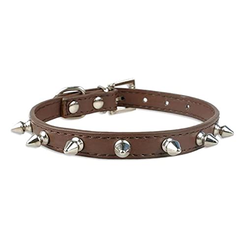 1 Pc Cute Rivets Studded Dog Collar Puppy Cat Collars for Small Dogs Chihuahua Yorkies Neck-Brown,M von LRZIN