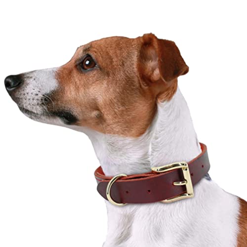 1 Pc Dog Collar Durable Pet Collars for Small Medium Large Dogs Pitbull German Shepherd Pet Supplies-Red,XS von LRZIN