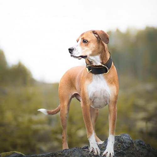 1 Pc Dog Collar Large Dogs Collar for German Shepherd Pet Puppy Collars-Brown,M von LRZIN