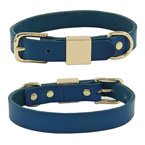 1 Pc Hundehalsband Für Kleine Hunde Leder Weiches Haustier Glatte Oberfläche Retro Farbe Einfache Hundeketten-Blau,M von LRZIN