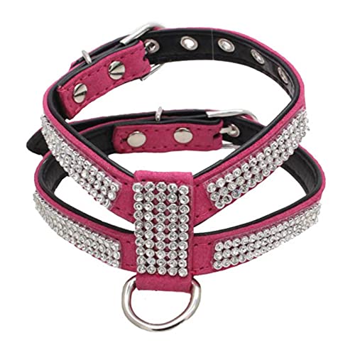 1 Pc Hundehalsband Verstellbare Haustierprodukte Haustier Halskette Hundegeschirr Leine Schnellverschluss-Rose Rot,L von LRZIN