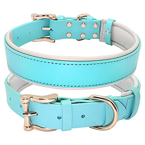 1 Pc Soft Padded Dog Collar Big Dogs Collars Pet Collar for Medium Large Dogs Pitbull-Blue,M von LRZIN