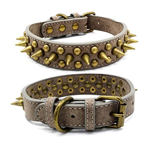 1 Stück Bronzenieten-Haustierhalsband Cooles Hundehalsband Passen Sie die Größe frei an Starkes und leistungsstarkes Hundezubehör-Grau-B,2.5x32cm von LRZIN