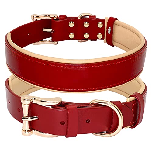1 Stück Hundehalsband Lederhalsbänder Große Hundehalsbänder Festes, verstellbares, gepolstertes Haustier-Welpenhalsband für kleine, mittelgroße und große Hunde, Blau-Rot, XL von LRZIN