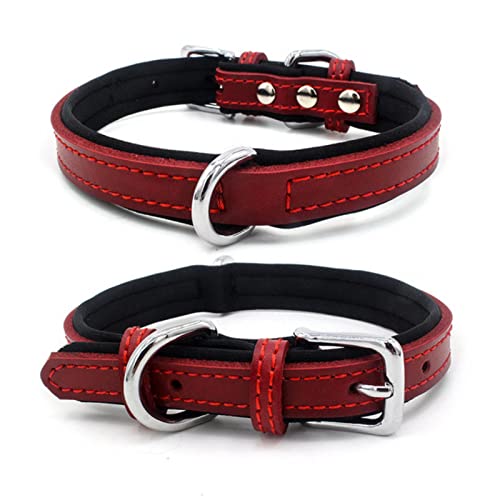 1 Stück Lederhalsband für Hunde, verstellbar, einfache Hunde, Krawatte für kleine, mittelgroße, große Hunde, Heimtierbedarf-rotes Halsband,S von LRZIN