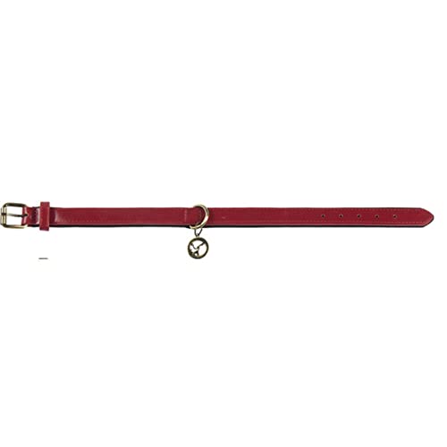 1 Stück Verstellbarer strapazierfähiger Halsriemen für kleine mittelgroße Hunde weiche Haustierhalsbänder-rot, S 2,0 x 45 cm, China von LRZIN