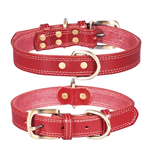 2-teiliges Hundehalsband aus Leder mit glänzendem Schriftzug, Rindslederhalsband für mittelgroße und große Hunde, Gelb, XL von LRZIN