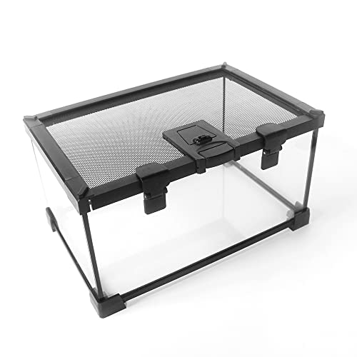 LSQ Mini-Reptilien-Glasterrarium-Behälter mit voller Ansicht Optisch ansprechender Mini-Reptilien-Glas-Lebensraumkäfig-20 * 20 * 16 von LSQ