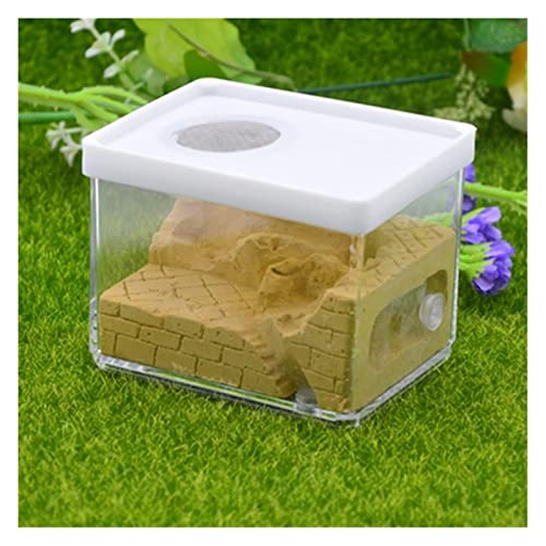 Ameisenfarm, Ameisenzuchtnest, ökologischer Gips, Ameisenfarm, quadratisches Nest, Landschaftsbau, Ameisenhaus, Ameisennest, Werkstatt, Haustier-Insektenbox, 10,3 x 7,6 x 7,5 cm (Farbe: Rot 10 x 7,5 x Ameisenfarm, Ameisenzuchtnest, ökologischer Gips, Ameisenfarm, quadratisches Nest, Landschaftsbau, Ameisenhaus, Ameisennest, Werkstatt, Haustier-Insektenbox, 10,3 x 7,6 x 7,5 cm (Farbe: Rot 10 x 7,5 x von LSSEDA