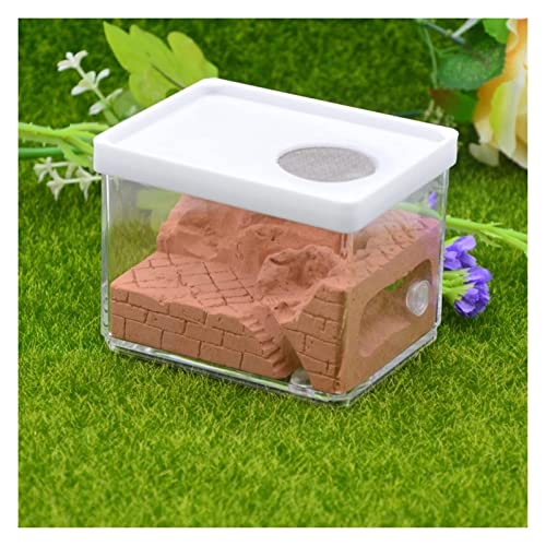 Ameisenfarm, Ameisenzuchtnest, ökologischer Gips, Ameisenfarm, quadratisches Nest, Landschaftsbau, Ameisenhaus, Ameisennest, Werkstatt, Haustier-Insektenbox, 10,3 x 7,6 x 7,5 cm (Farbe: Rot 10 x 7,5 x Ameisenfarm, Ameisenzuchtnest, ökologischer Gips, Ameisenfarm, quadratisches Nest, Landschaftsbau, Ameisenhaus, Ameisennest, Werkstatt, Haustier-Insektenbox, 10,3 x 7,6 x 7,5 cm (Farbe: Rot 10 x 7,5 x von LSSEDA