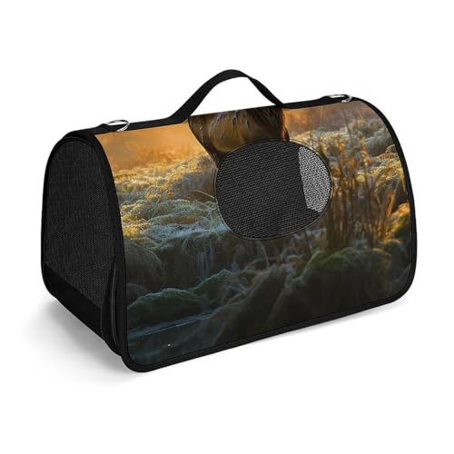 Haustier-Handtasche, Hirsch, bedruckt, tragbar, für den Außenbereich, Katzentasche, Geldbörse, kleine Hundetrage für Reisen/Auto/Outdoor Haustier-Handtasche, Hirsch, bedruckt, tragbar, für den Außenbereich, Katzentasche, Geldbörse, kleine Hundetrage für Reisen/Auto/Outdoor von LSWQK
