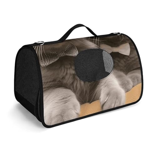 Haustier-Handtasche, lustige Katzen, bedruckt, tragbar, für den Außenbereich, Katzentasche, Geldbörse, kleine Hundetrage für Reisen/Auto/Outdoor Haustier-Handtasche, lustige Katzen, bedruckt, tragbar, für den Außenbereich, Katzentasche, Geldbörse, kleine Hundetrage für Reisen/Auto/Outdoor von LSWQK