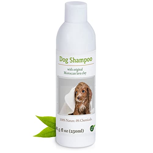 LT-Naturprodukte Bio Hundeshampoo | hypoallergen und seifenfrei | Juckreizlindernd mit marokkanischer Lavaerde | für Langfell und Kurzfell | 250ml LT-Naturprodukte Bio Hundeshampoo | hypoallergen und seifenfrei | Juckreizlindernd mit marokkanischer Lavaerde | für Langfell und Kurzfell | 250ml von LT-Naturprodukte