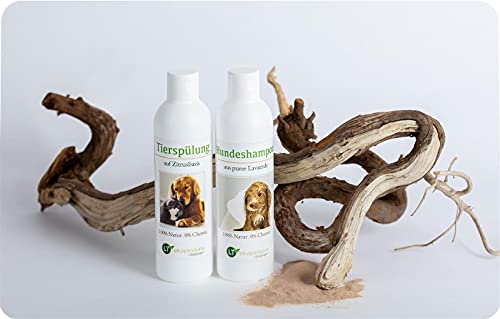 LT-NATURPRODUKTE Pflegeset für Hunde – Hundeshampoo und Pflegespülung | mit Marokkanischer Lavaerde | sanft, seifen- und chemiefrei | 2x 250 ml von LT-Naturprodukte