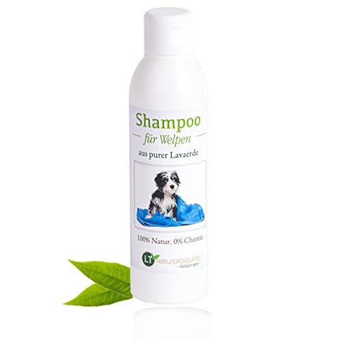 LT-Naturprodukte Welpenshampoo | Bio | sanfte Pflege für Hundewelpen ohne Chemie & Seife | gegen Juckreiz | hypoallergen | mit original weißer Lavaerde | 250 ml LT-Naturprodukte Welpenshampoo | Bio | sanfte Pflege für Hundewelpen ohne Chemie & Seife | gegen Juckreiz | hypoallergen | mit original weißer Lavaerde | 250 ml von LT-Naturprodukte
